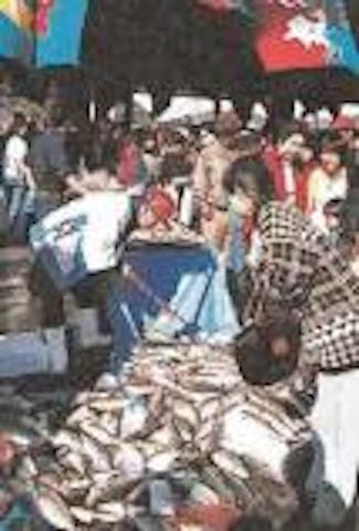 【2021年中止】下関さかな祭