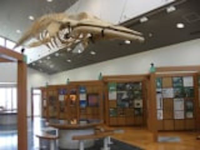 つのしま自然館