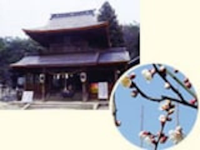 古熊神社／うめ
