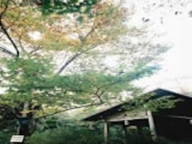 愛鳥林エリアセラピーロード