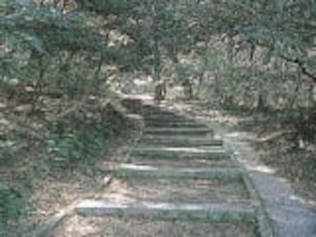 峨嵋山自然研究路