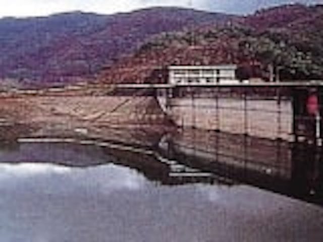 川上湖／さくら