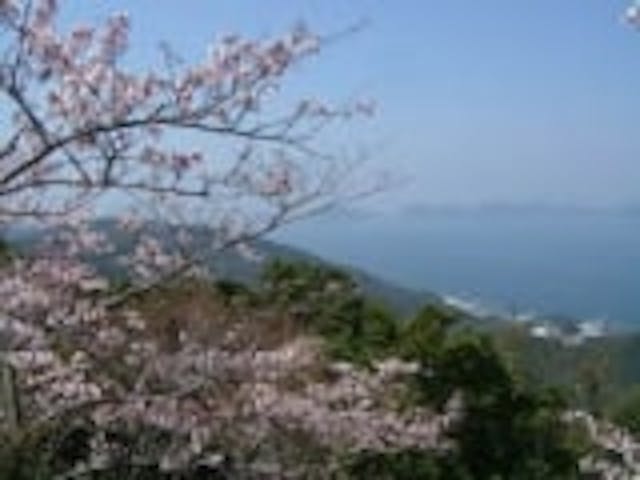 太華山／さくら