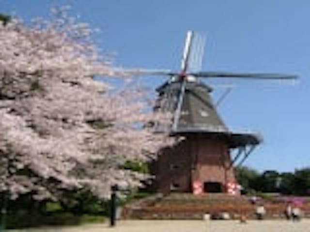 永源山公園／さくら