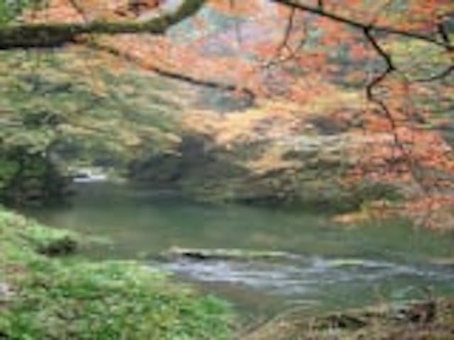 高瀬峡／もみじ