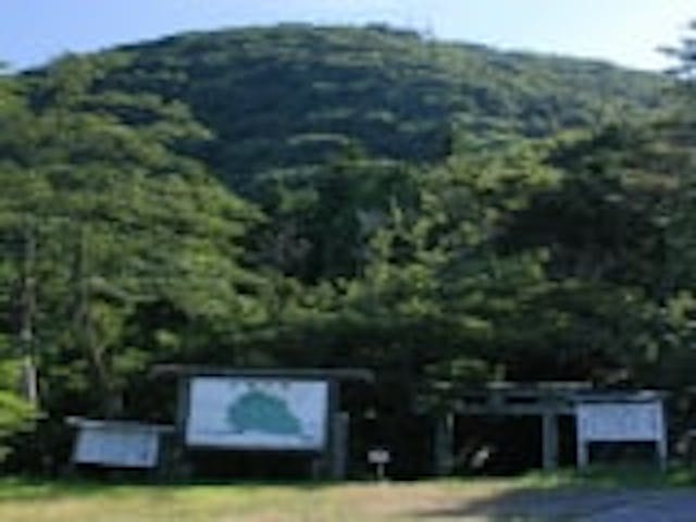 長寿の森遊歩道（嵩山森林公園）