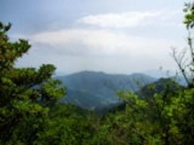 文珠山・嵩山・嘉納山・源明山ハイキングコース