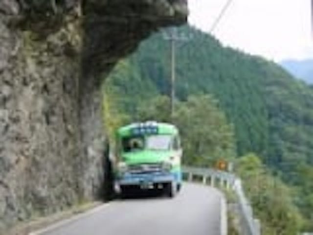 大歩危祖谷定期観光ボンネットバス