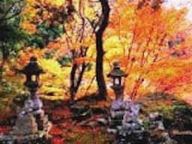 半田岩の紅葉