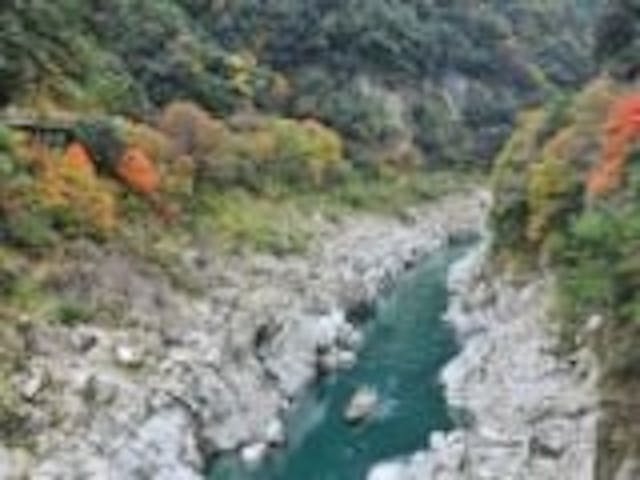 大歩危峡遊覧船 アソビュー 大歩危峡遊覧船 アソビュー