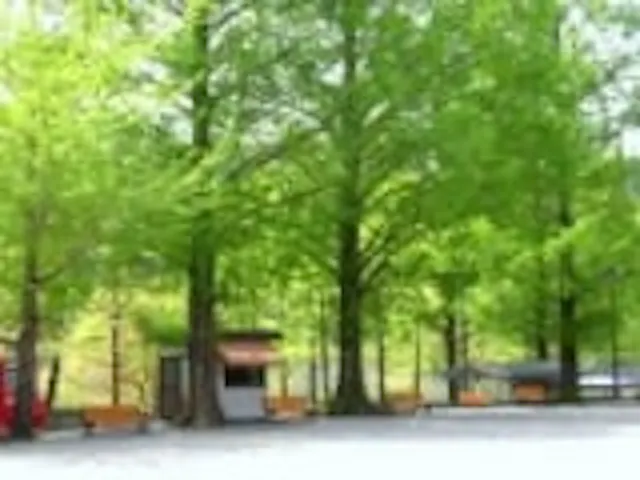 那賀町鷲敷野外活動センター アソビュー