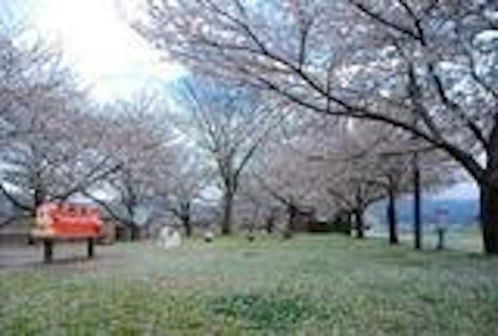 白峰園地展望台