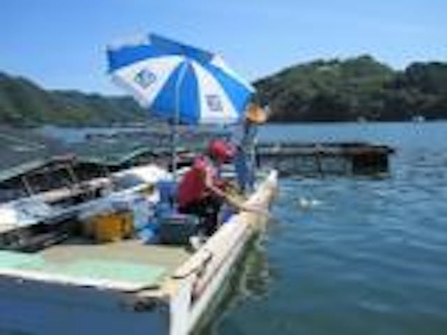 釣りいかだ矢野