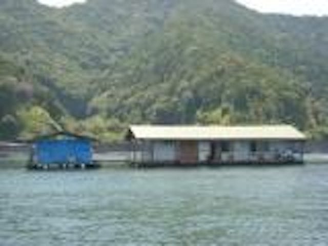 フィッシング竹村