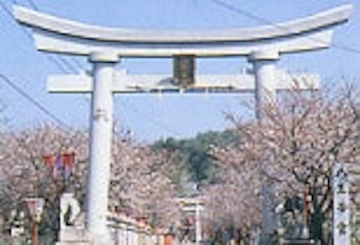 八王子宮の桜