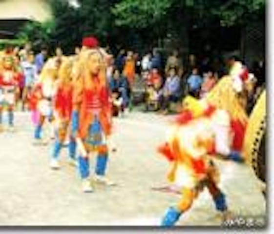 【2021年開催中止】竹飯稚児風流・奉納花火