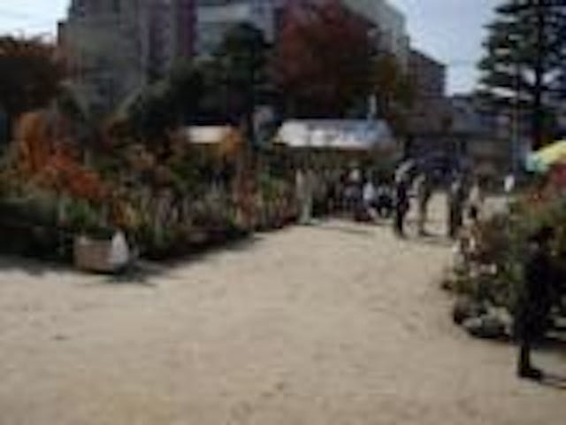【2020年中止】させぼ秋の植木市