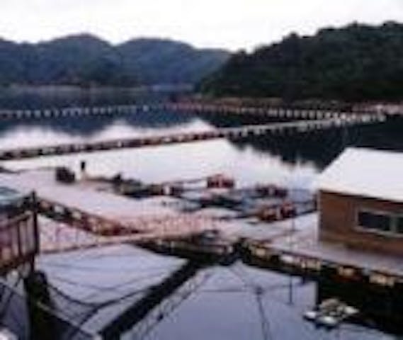 ジャンボフィッシング村