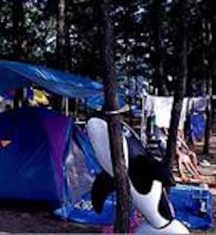 白浜海水浴場キャンプ場