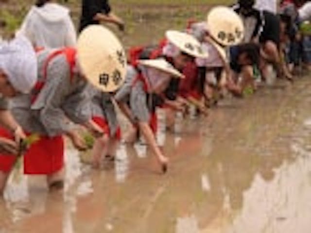 【2021年開催中止】田染荘御田植祭