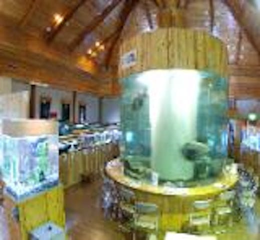 出の山淡水魚水族館