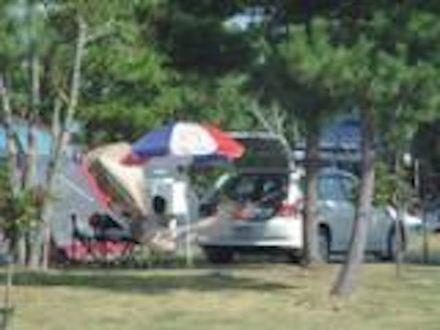 指宿エコキャンプ場