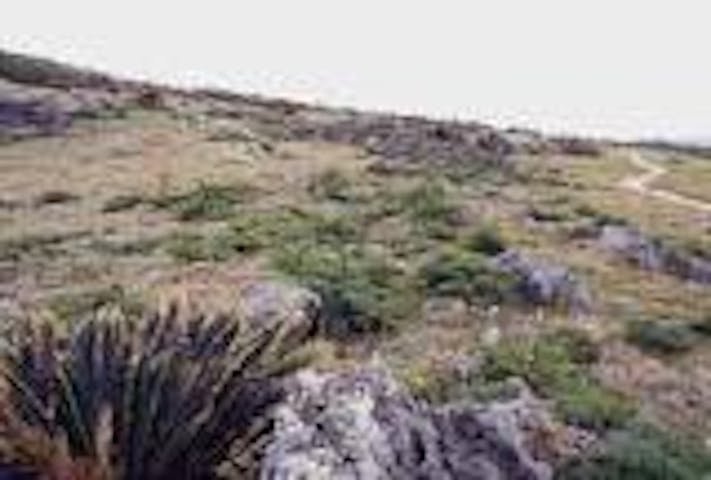 田皆岬カルスト地帯