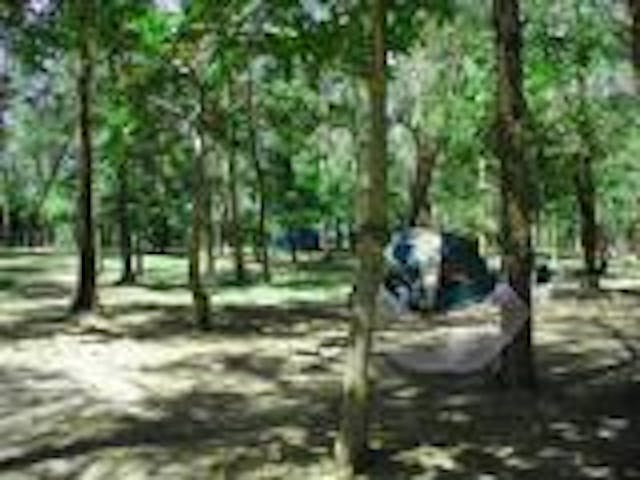 伊江村青少年旅行村キャンプ場