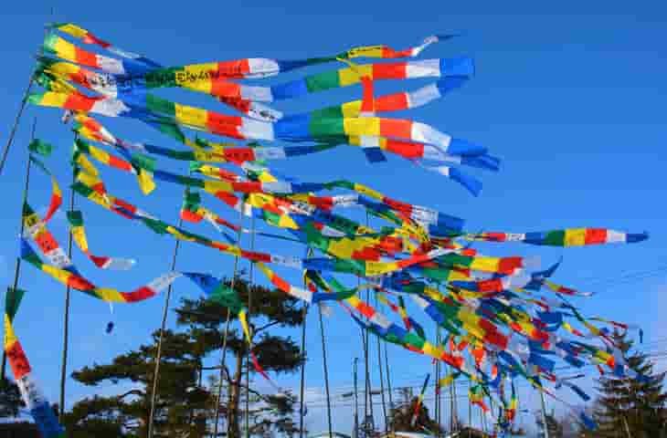 スポットの写真