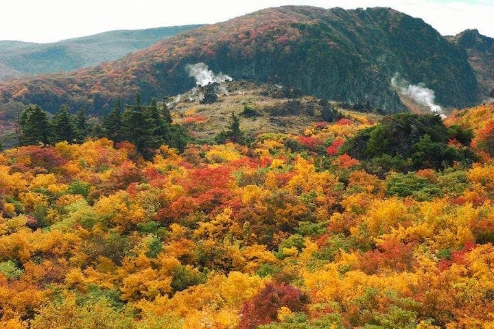 【2022年】栗駒山の紅葉