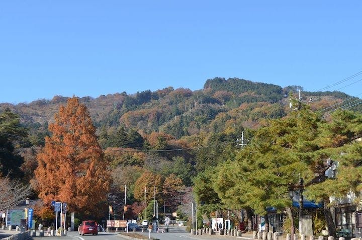【2022年】宝登山の紅葉