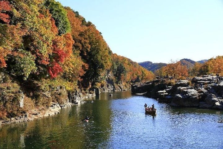 【2022年】長瀞の紅葉