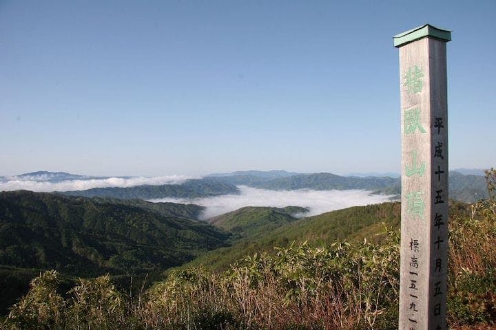 【2022年】猪臥山の紅葉