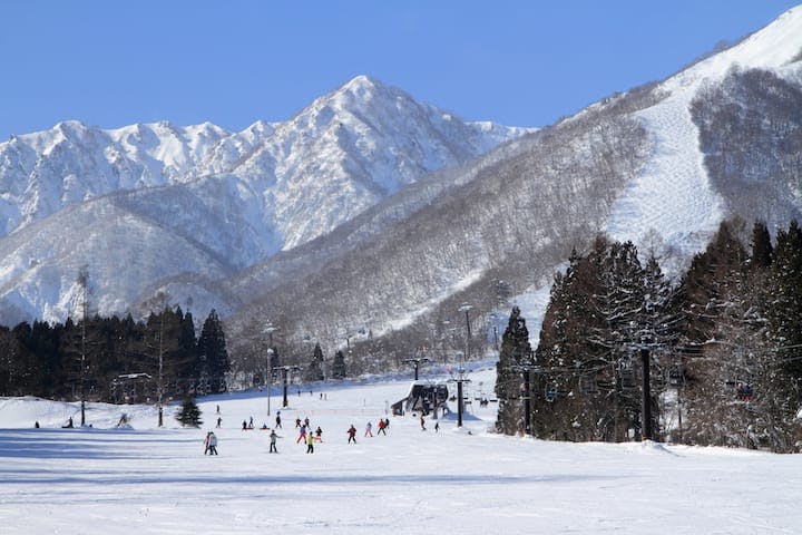 エイブル白馬五竜スキー場