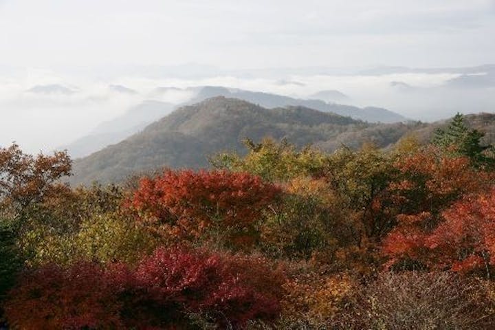 【2022年】軽井沢（旧碓氷峠見晴台）の紅葉