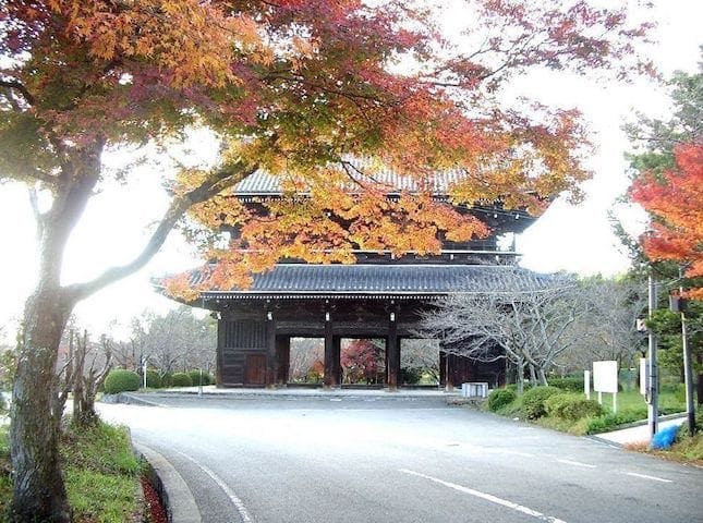 【2022年】根來寺の紅葉