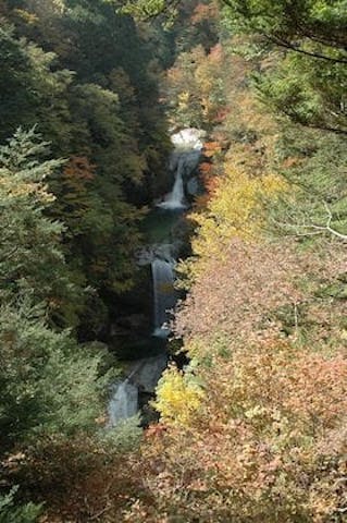 【2022年】尾白川渓谷の紅葉