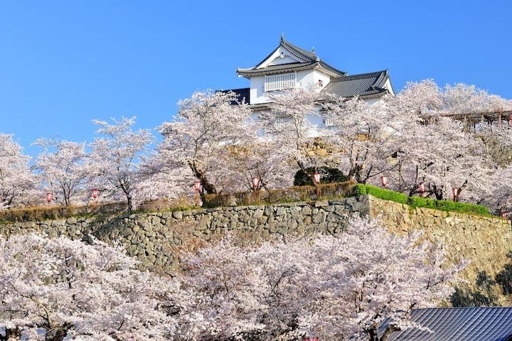 鶴山公園（津山城跡）