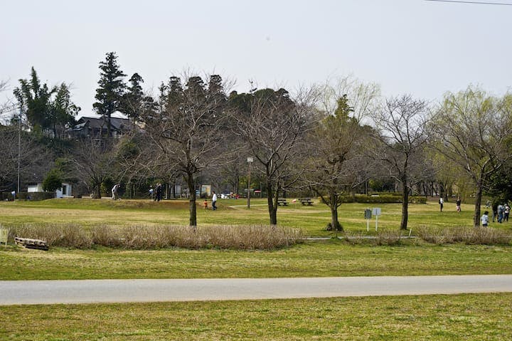 柏ふるさと公園
