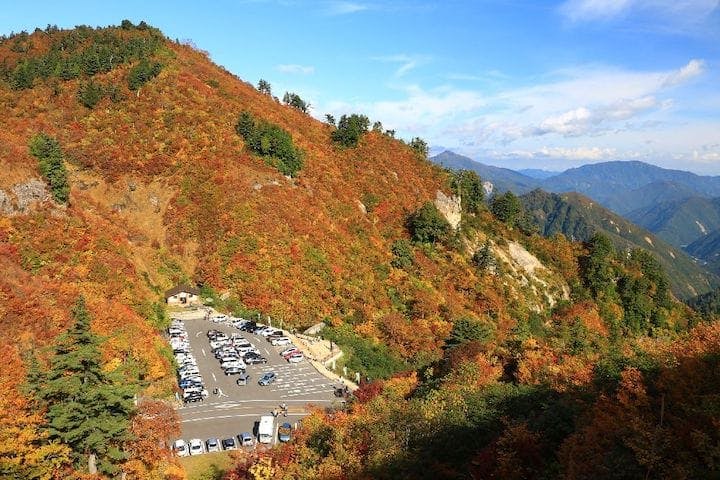 【2022年】白山白川郷ホワイトロード（三方岩駐車場：標高1,450m付近）の紅葉