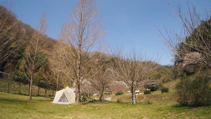 知明湖キャンプ場