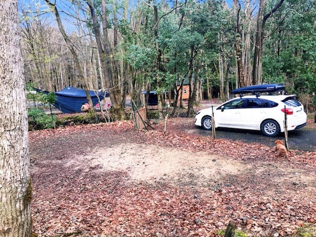 奥琵琶湖キャンプ場