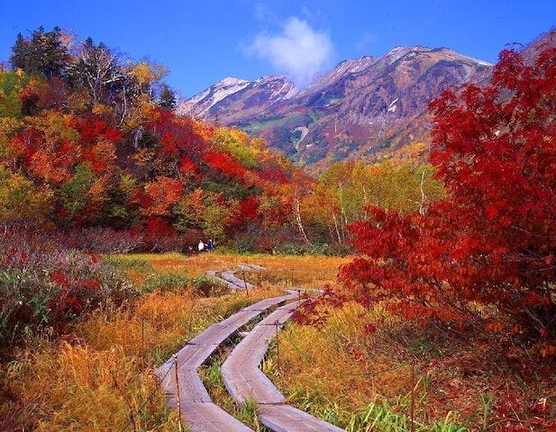 【2022年】栂池自然園の紅葉