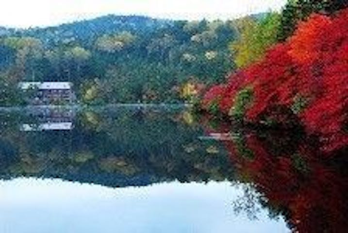 【2022年】白駒の池の紅葉