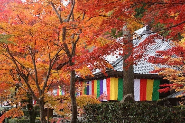 【2022年】大本山　永源寺の紅葉