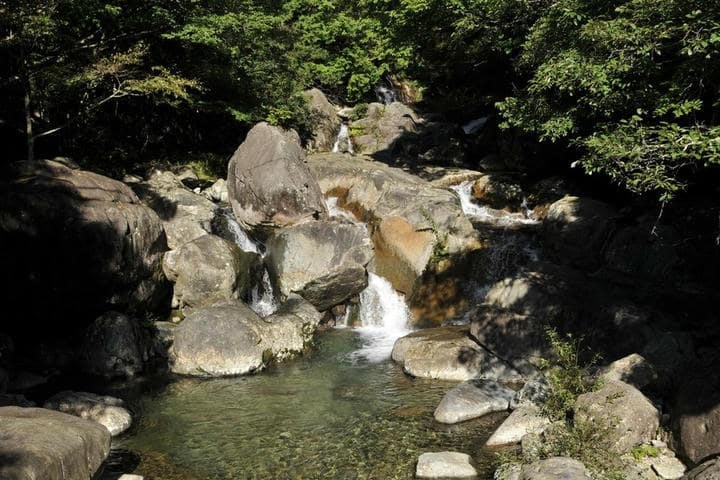 スポットの写真