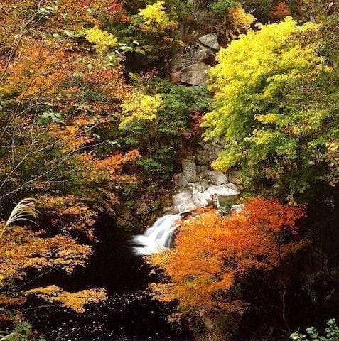 【2022年】小鹿渓の紅葉