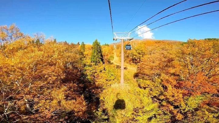 【2022年】赤倉山南麓湿原の紅葉