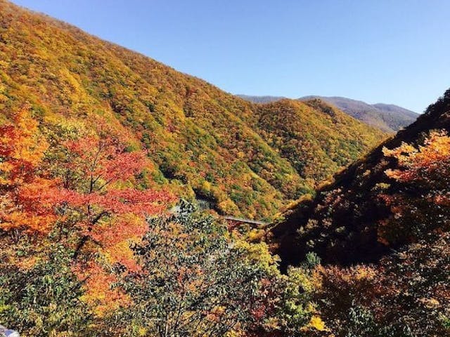 【2022年】仙人峠の紅葉