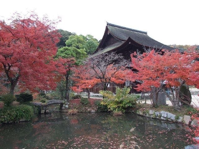 【2022年】不動院の紅葉